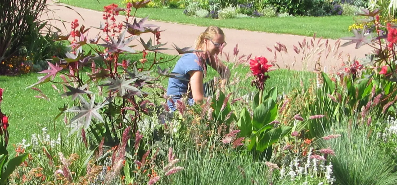 Silke Poerschken im garten